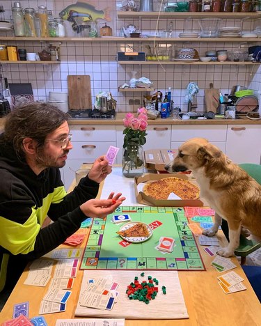 dog plays game of Monopoly with man