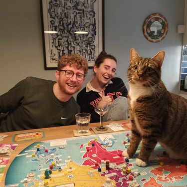 cat sitting on board game