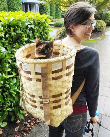 cat in basket backpack