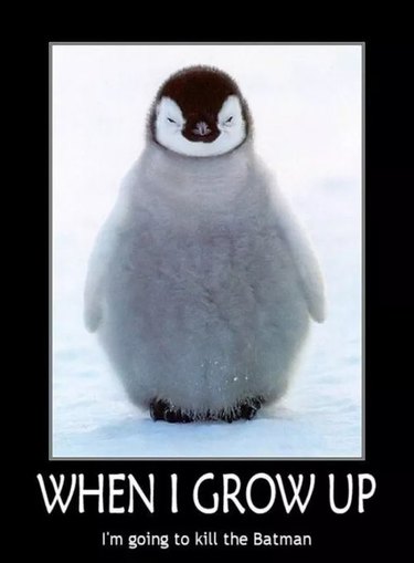 funny penguin meme