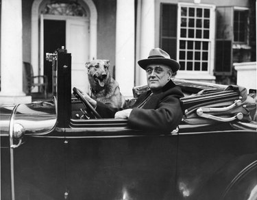 President Roosevelt and dog