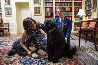 Michelle Obama and Bo and Sunny