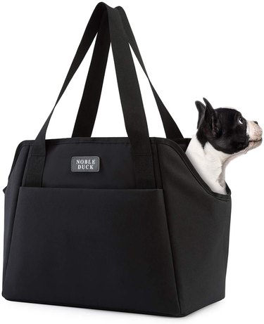 Dog inside black bag