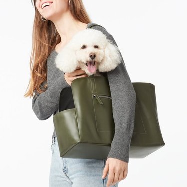 Woman holding dog in bag