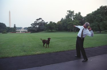 Bill Clinton and Buddy the dog