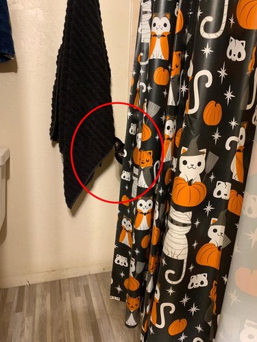 black cat is expert at hiding behind shower curtain