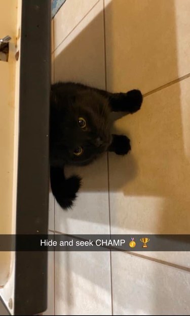 black cat hiding under dishwasher, "hide and seek champ"