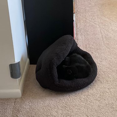 black cat sleeps on black fleece pillow