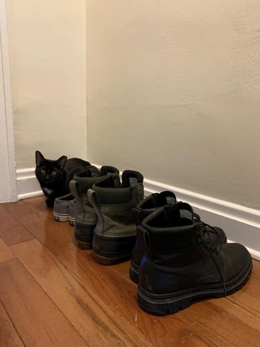 black cat hiding next to pair of black shoes