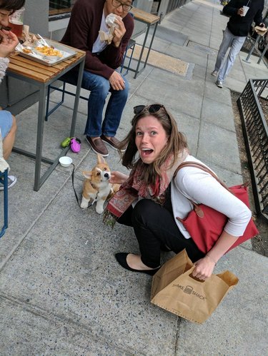 woman excited about meeting corgi