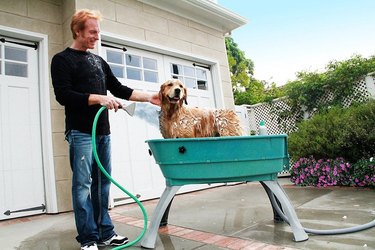 Dog getting bathed in a booster bath in a driveway by a man using a hose with a sprayer nozzle.