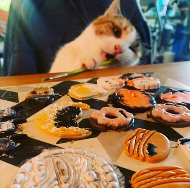 Halloween cookies on a table, a cat sits in a chair next to the table chewing on a small paintbrush and eyeing the cookies.