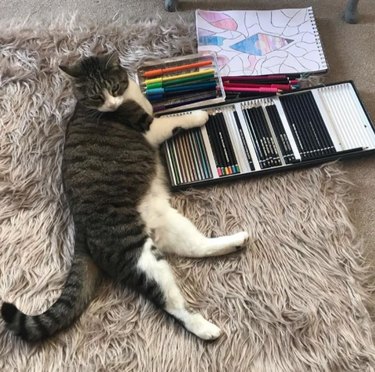 A cat lying on a fluffy rug, with one paw resting on an open tray of art colored pencils. A partially-finished drawing sits in the background.
