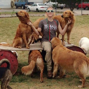 woman surrounded by golden retriever dogs
