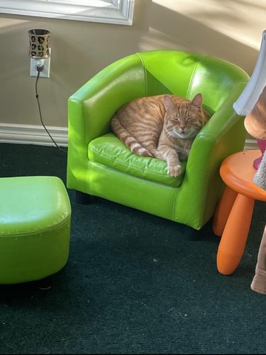 Ginger cat sleeping in a lime neon green cat-sized chair.
