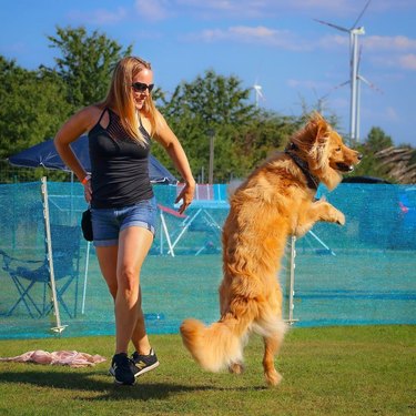 dog and woman dance at contest