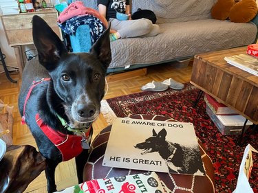 Dog posing with sign modeled after itself