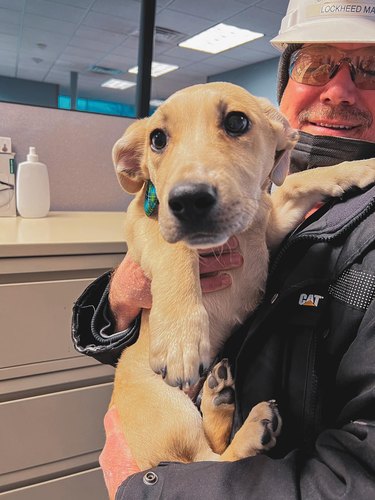 Man brings cute puppy to his workplace.