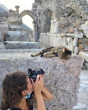 Woman takes a photo of a cat sleeping on ancient ruins.