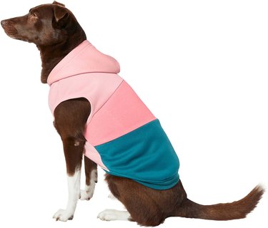 Geometric dog hoodie