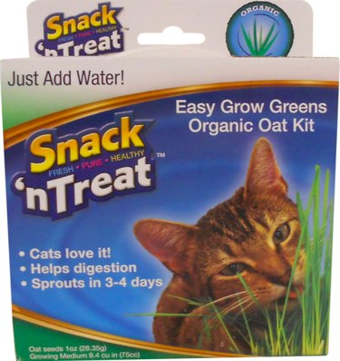 Imperial Cat Easy Grow Cat Oat Grass Kit