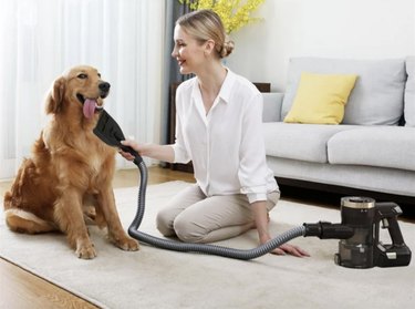 Woman using pet grooming vacuum on a long haired golden retriever on the floor of a living room.