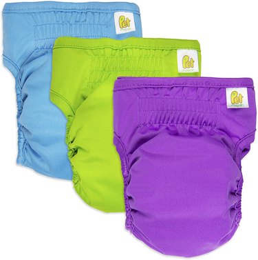 Three Pairs of Colorful Pet Magasin Reusable Washable Dog Diapers