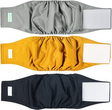 Three Wegreeco Washable Male Dog Diapers in Various Colors