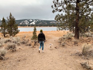 The author walking her schnauzer mix on a trail overlooking Big Bear Lake and the surrounding ski resorts.