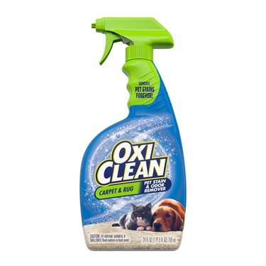 Spray bottle of OxiClean Carpet & Area Rug Pet Stain and Odor Remover