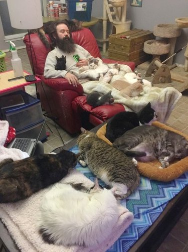 man on chair buried under sleeping cats
