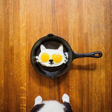 eggs in the shape of a cat's face