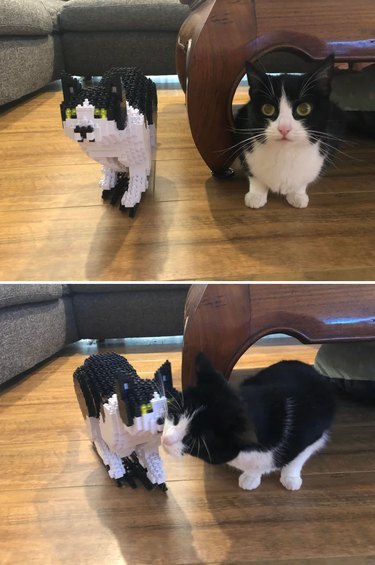 Black and white cat rubs cheeks with Lego brick version of itself