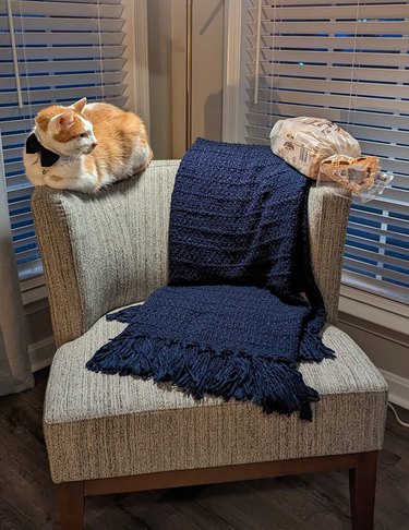 cat sitting on one side of the top of an acccent chair with a loaf of bread on the other side.