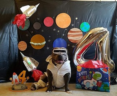 dog dressed as rocket man