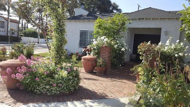 Studio cottage rental in Sawtelle neighborhood of West Los Angeles