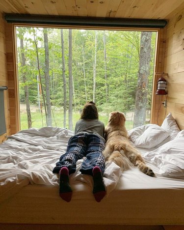 dog and person enjoy view from getaway cabin