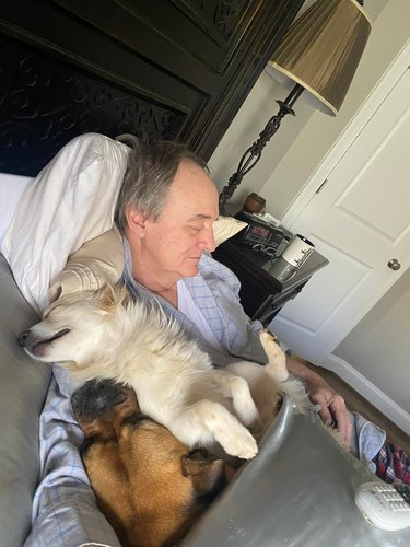 man snuggles with neighborhood dogs