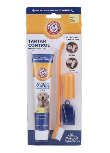 Arm & Hammer Tartar Control Kit