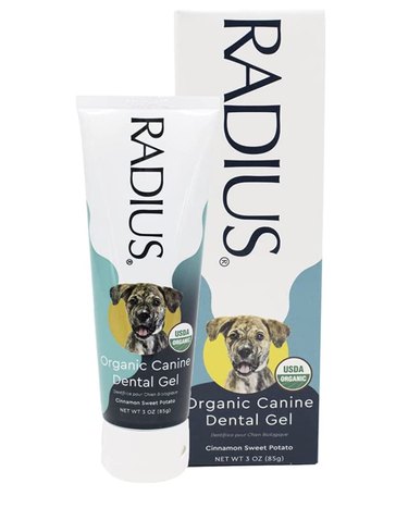 Radius Organic Toothpaste for Dogs