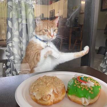 An orange cat stares hungrily at donuts from a window.