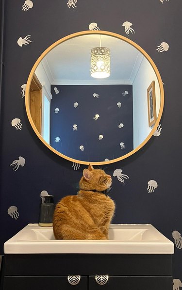 An orange cat sits in a sink in a bathroom with a round mirror and octopus-patterned wallpaper.