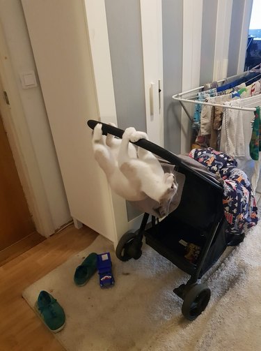 cat hanging upside down from baby stroller