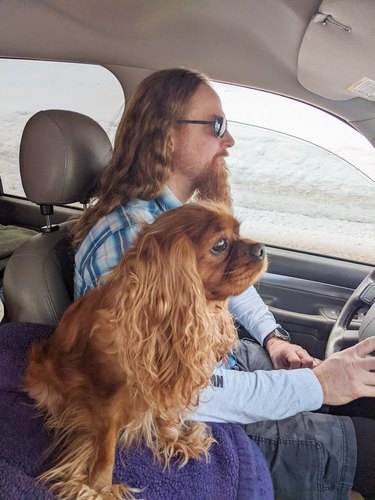 man and dog have same hair cut