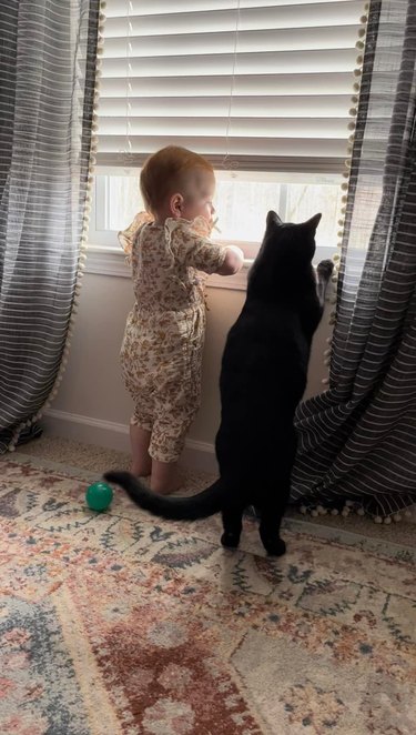 baby and cat stare out window