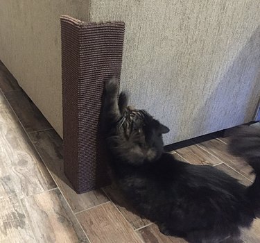 A Cat Using the Sofa-Scratcher Furniture Protector Squared Cat Scratching Post in Brown