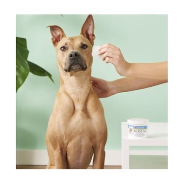 Miracle Care Sterile Eye Wash Pads for Dogs & Cats