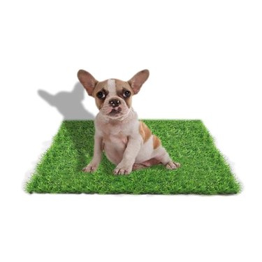 STARROAD-TIM Fake Grass for Dogs