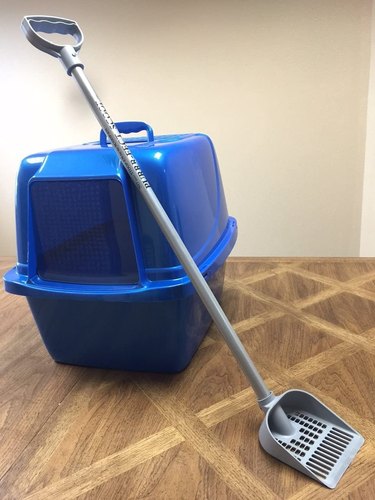 Purr-fect Standing Scoop Leaning Against Blue Litter Box