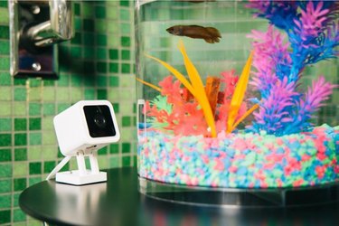 White pet camera on a black table next to a fish tank with colorful gravel.